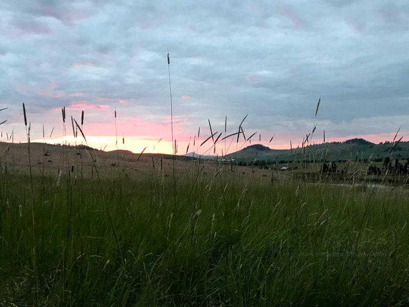 Hay at Sunset