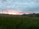 Hay at Sunset