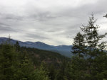 Montana Forest