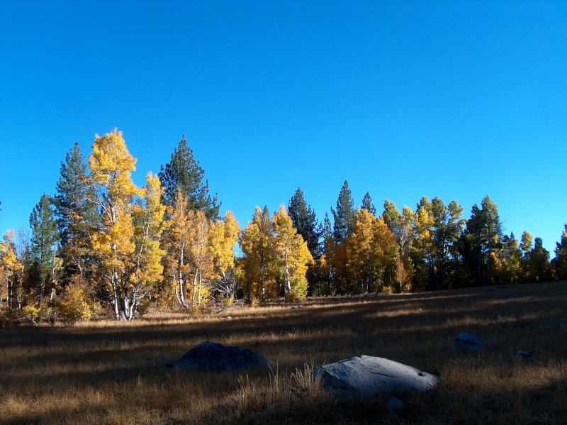 Sierra Nevada