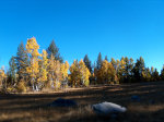 Sierra Nevada