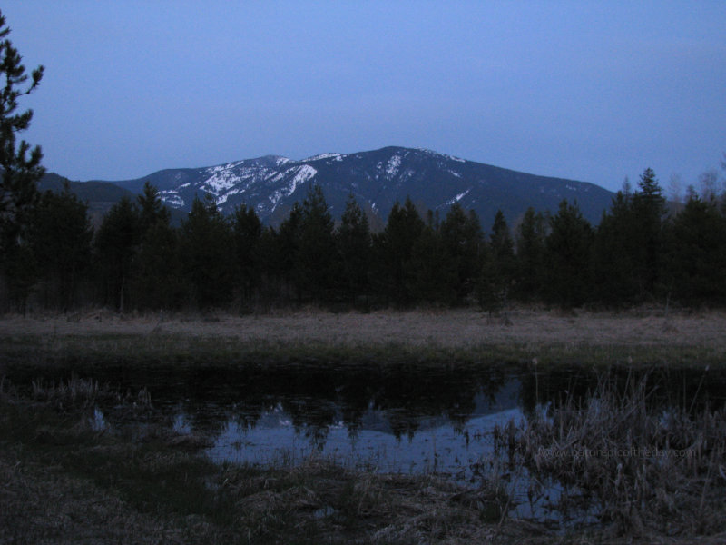 Montana Pond