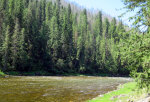 Selway River