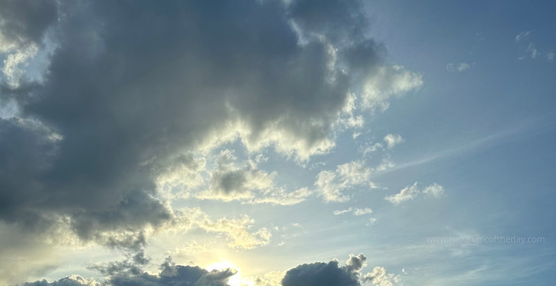 Sunlight