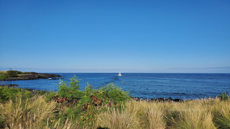 Hawaii Harbor