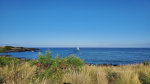 Hawaii Harbor