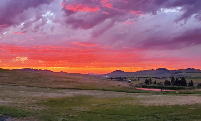 Orange sunset