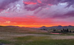 Orange sunset