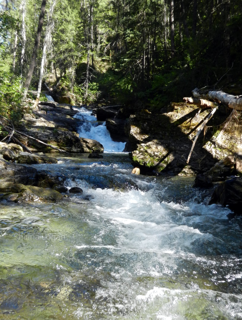 Mountain stream in Montana