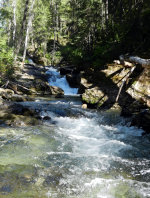 Mountain stream in Montana