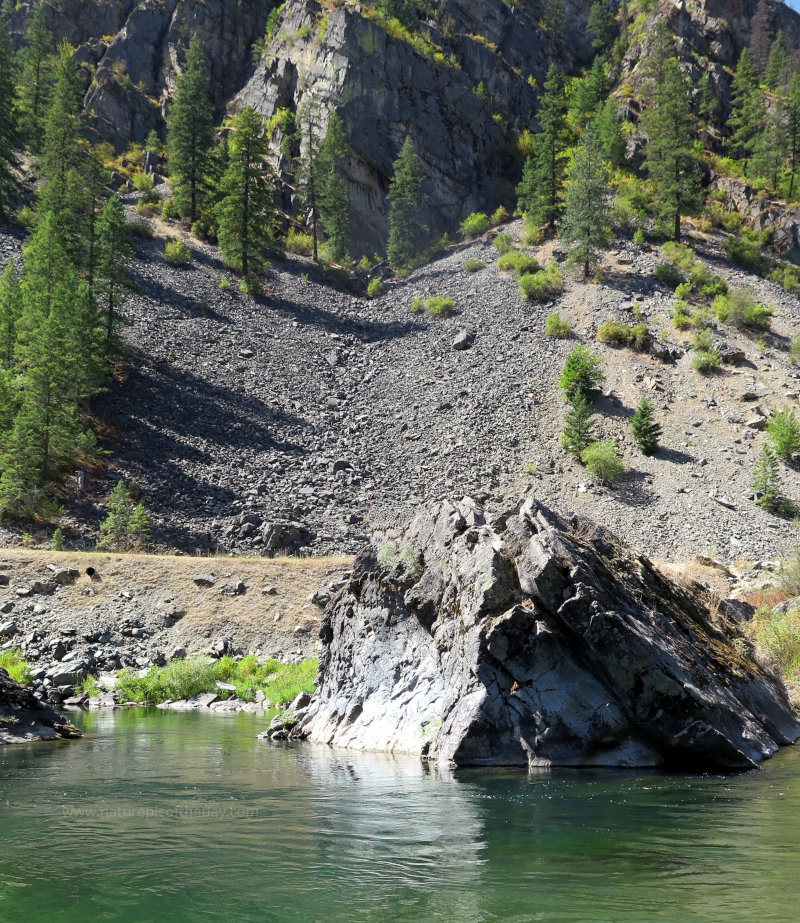 Thompson River in Montana