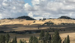 Harvest on the Palouse