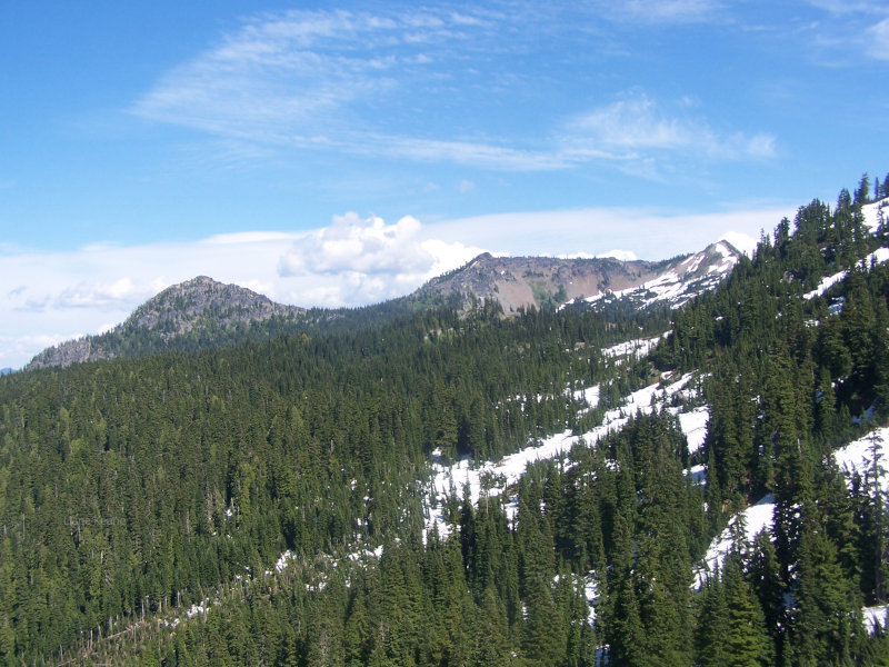 Spring on Mount Rainier