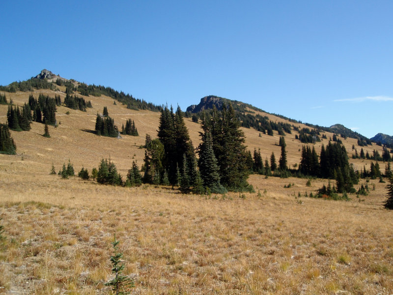 Mount Rainier National Park
