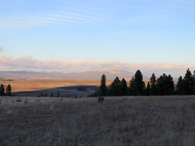 Washington and Idaho