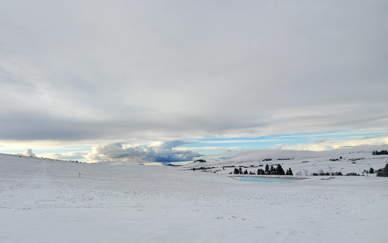 Winter scene in Idaho