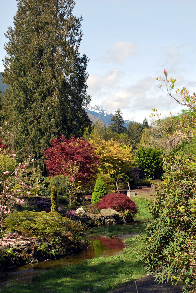 Brinnon Gardens in WA