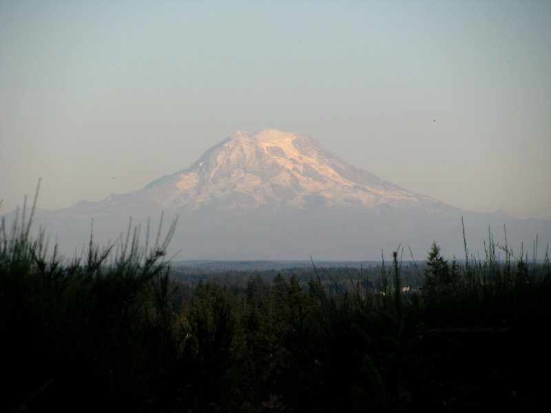 Mount Rainier 