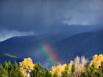 beautiful rainbow from a fall storm in the rockies.