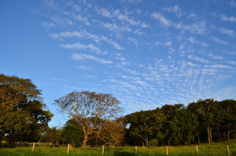 Beautiful meadow and sky in Brazil