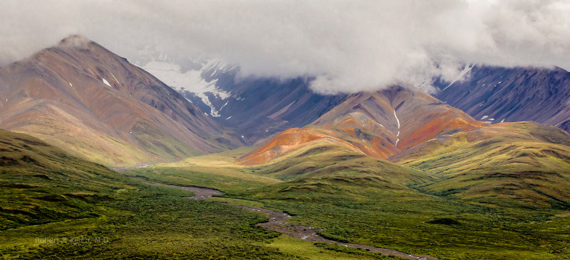 Denali National Park, Alaska