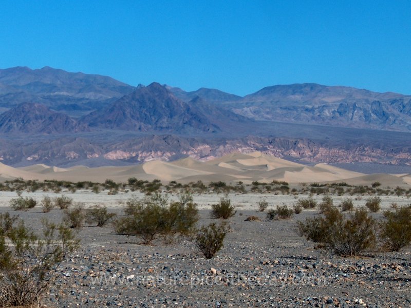 Sand Dune in Death Valley