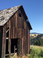 Shed in Idaho