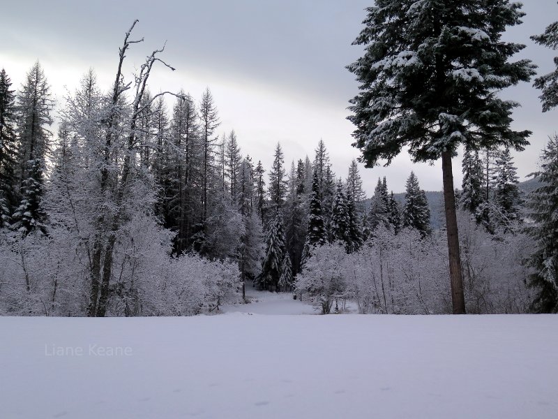 Winter in Montana