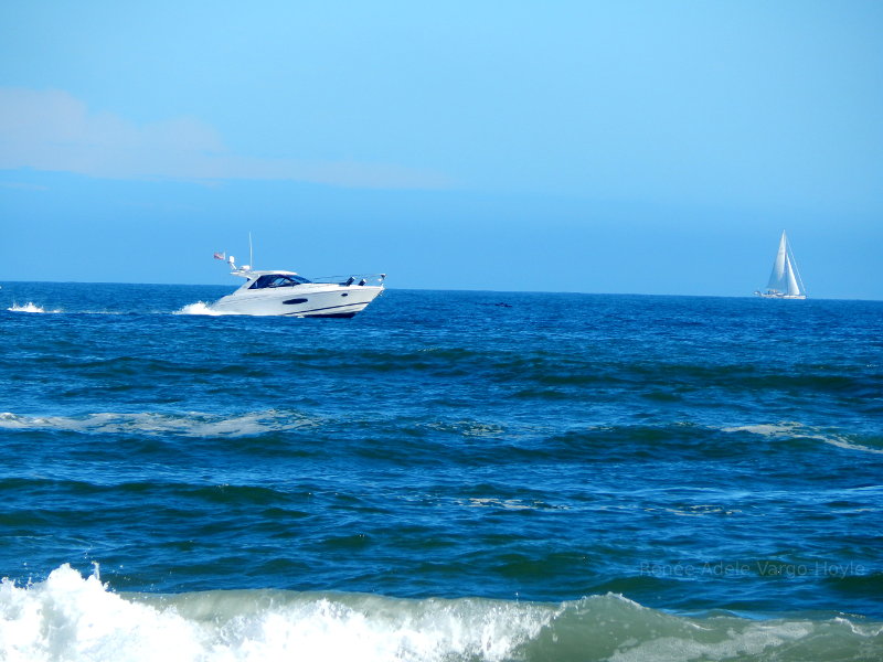 The shores of Avalon, New Jersey