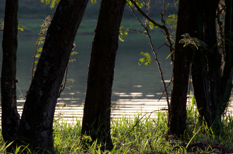 Lake in Brazil