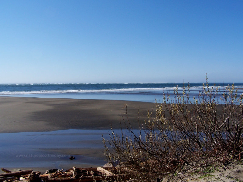 Beach in Washington State