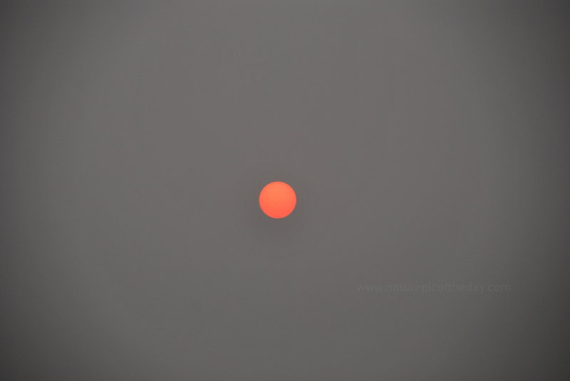 Sun through hazy smoke