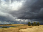 Beautiful storm over the wheat fields in Western Montana