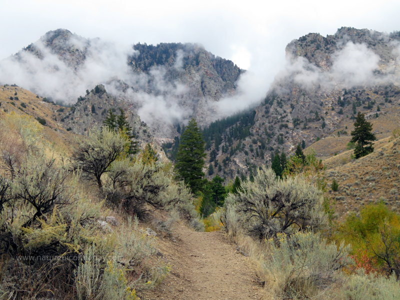 Trail along Warm Springs Creek near Salmon, Idaho