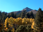 Fall Colors in the Sierra Nevadas