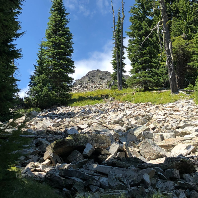 Rocky Mountains in Montana!