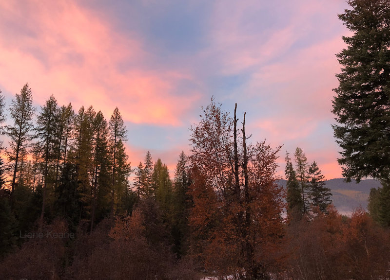 Fall in Montana