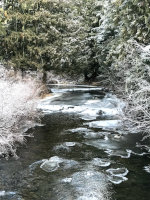 A frosty river in the woods!