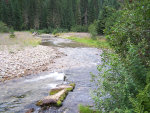 Mountain stream in Montana