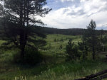 Meadow in Colorado