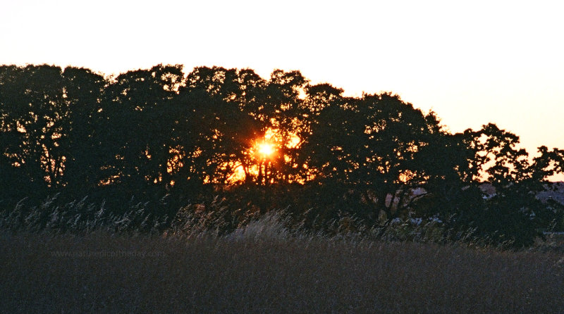 Sunset in California