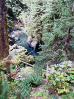 Hiking along the creek.