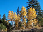 Sierra Nevada Mountains in Autumn