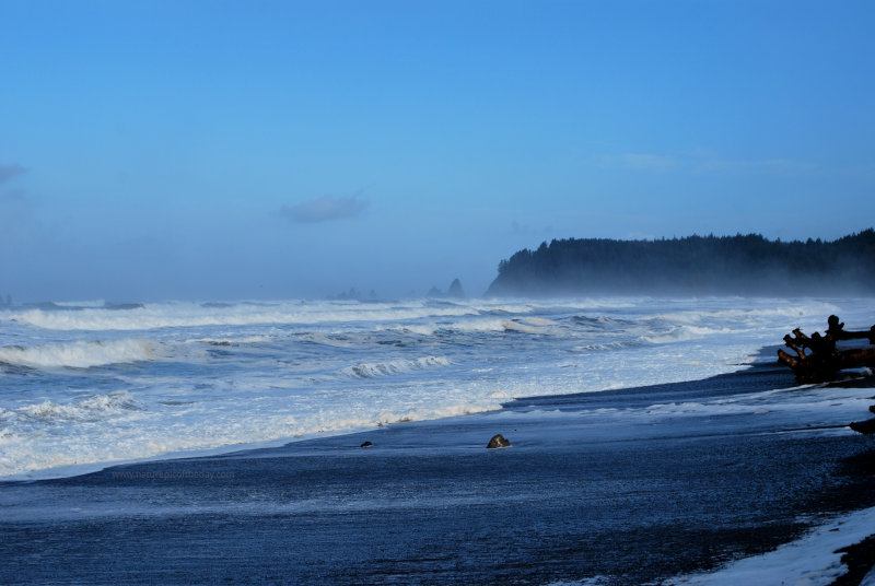 Surf on the Olympic Peninsula