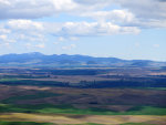 Palouse farm land
