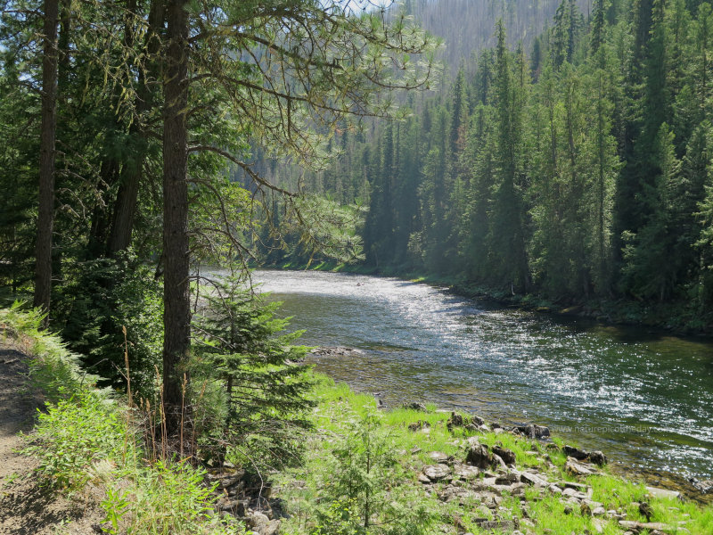 Selway River 