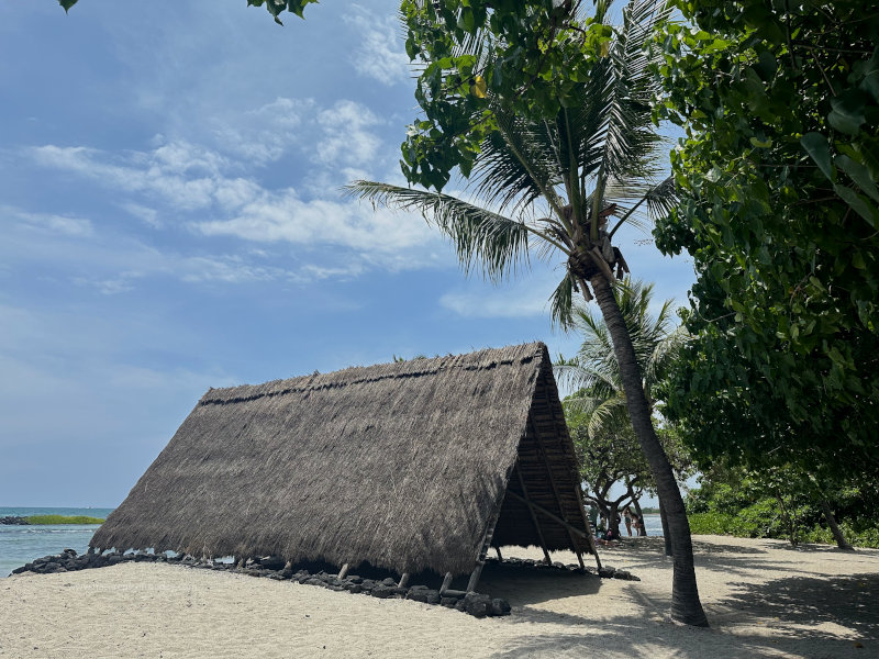 Canoe House, sea turtles, beaches