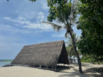 Canoe House, sea turtles, beaches