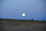 Full Moon Fever?