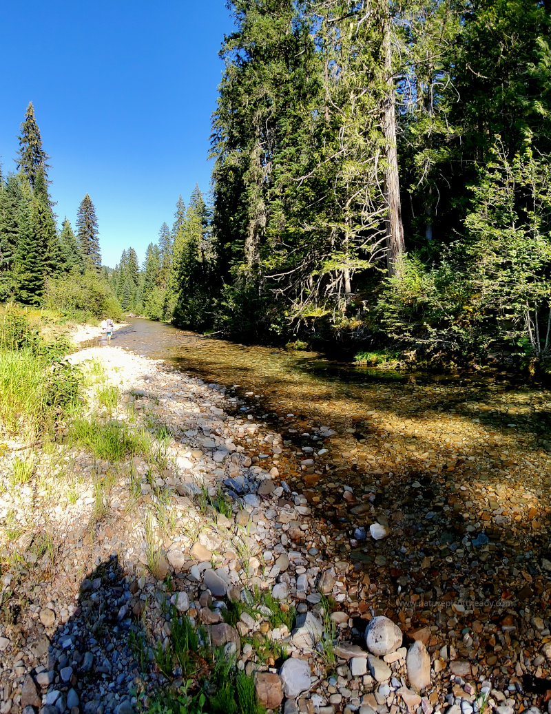 Natural streamers